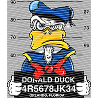 Disney Style-DSN 1008